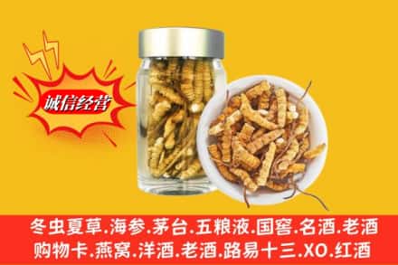 永兴县名酒回收散虫草.jpg