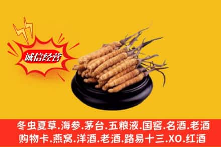 永兴县名酒回收冬虫夏草.jpg